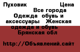 Пуховик Calvin Klein › Цена ­ 11 500 - Все города Одежда, обувь и аксессуары » Женская одежда и обувь   . Брянская обл.